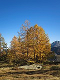 IMG_9496