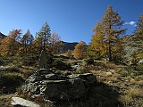 IMG_9497