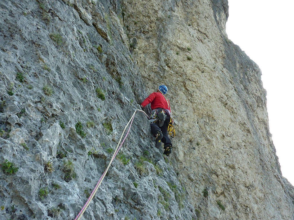 P1130859.JPG