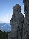 IMG_0882