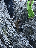 IMG_7141