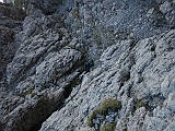 IMG_7155
