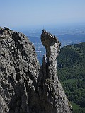 IMG_7206