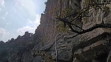 DSCN1977
