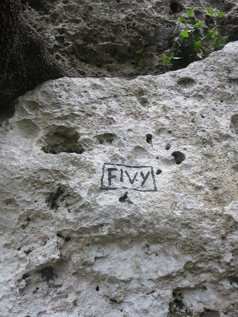 IMG_0937.JPG - La parete è esposta a Ovest per cui si può arrampicare anche in estate quando sulle Alpi il eteo non lo permette.
