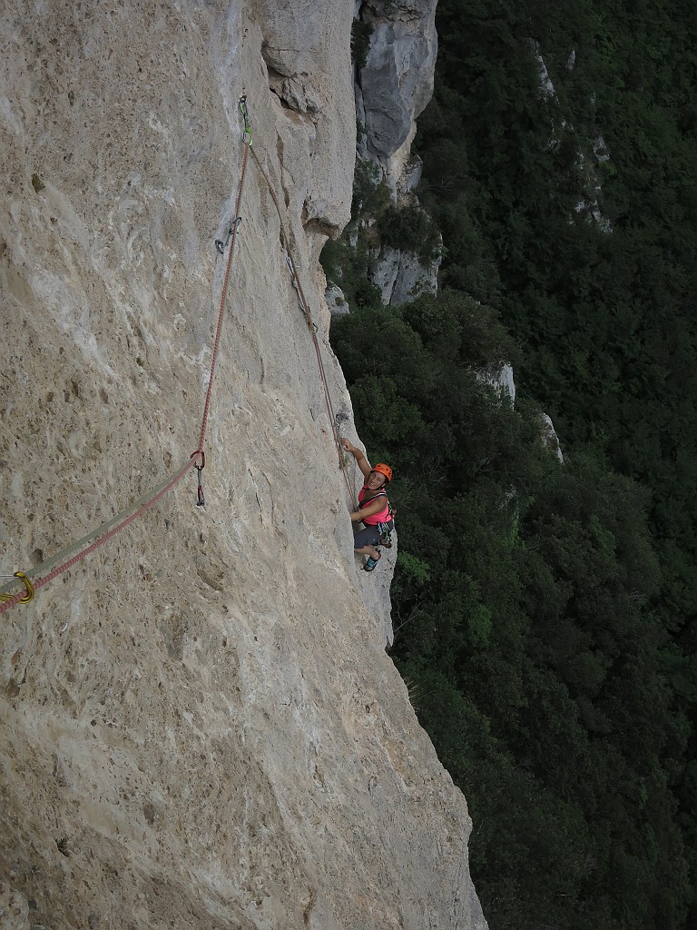 IMG_0946.JPG - Emozionante tiro che cerca il facile nella grande placca