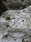 IMG_0937