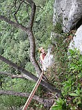 IMG_0939