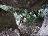 IMG_0944
