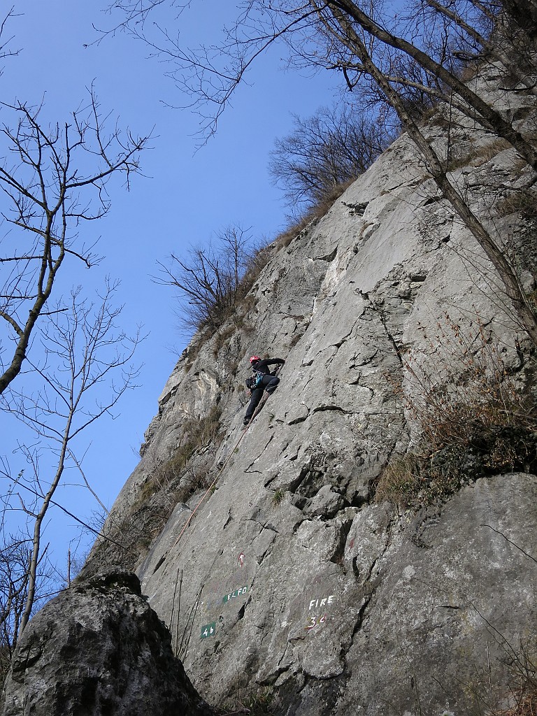 IMG_8215.JPG