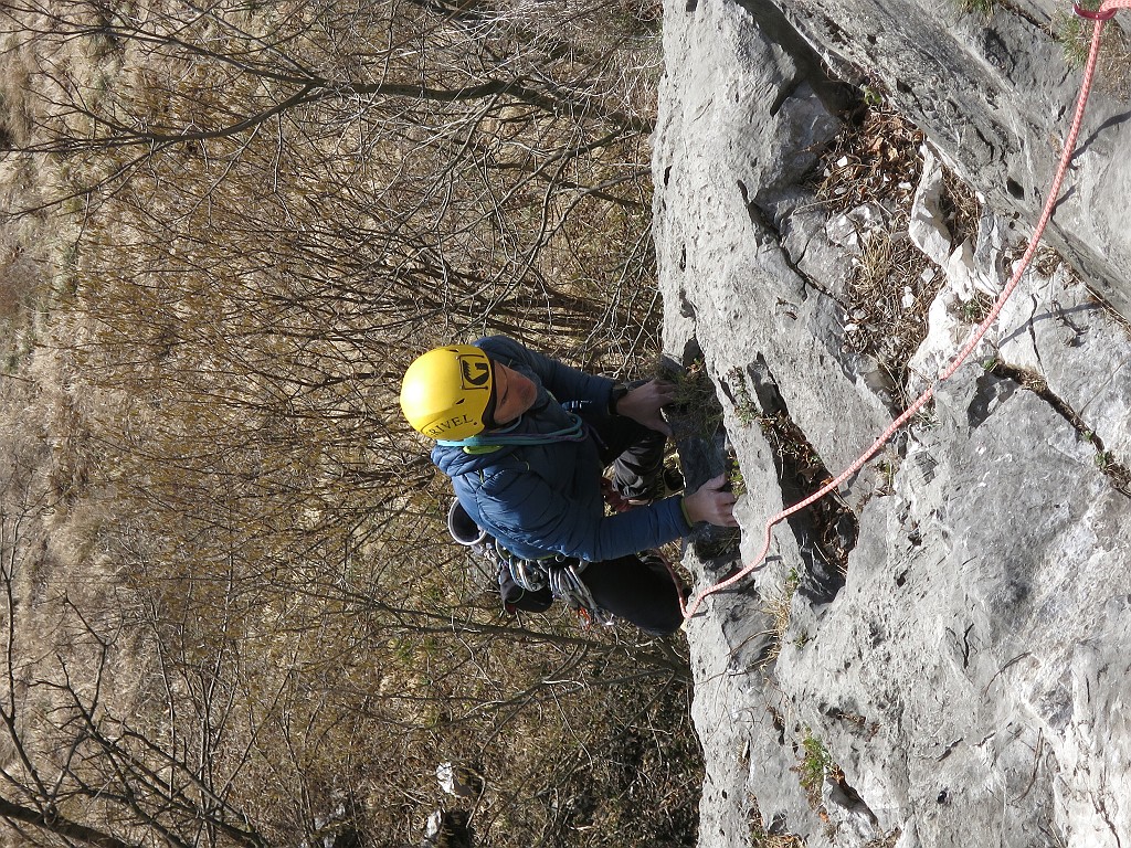 IMG_8234.JPG