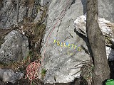IMG_8231