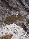 DSCN7971