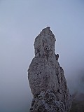 DSCN7981
