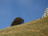 IMG_2063