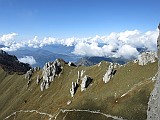 IMG_2096