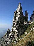 IMG_2023