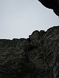 IMG_2031