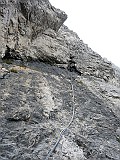 IMG_2037