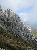 IMG_2048