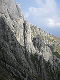 IMG_2049
