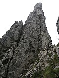 IMG_5890