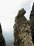IMG_5913