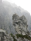 IMG_5923