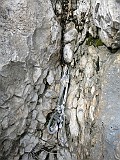 IMG_2176