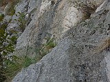 P1080212