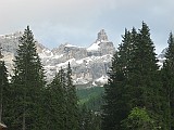 IMG_3336