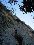 DSCN5248
