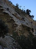 IMG_3458