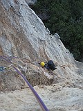 IMG_3464