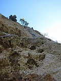 IMG_3477