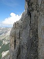 IMG_0008