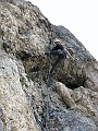 IMG_0011