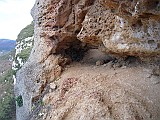 DSCN5657