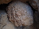 DSCN5662