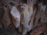 DSCN5663