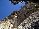 DSCN5668