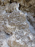 IMG_3810
