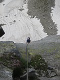 IMG_2875