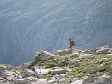 IMG_2899