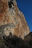 IMG_1009