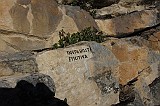 IMG_1010