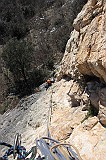 IMG_1011