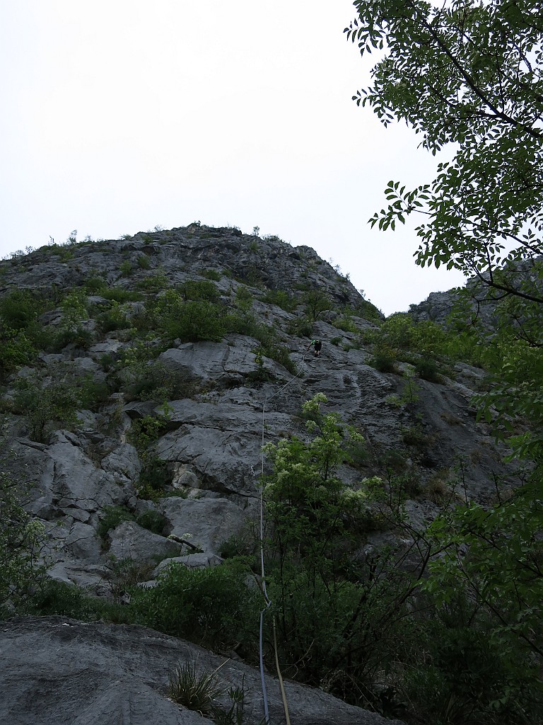 IMG_0138.JPG