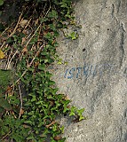 IMG_6204