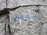 IMG_6238